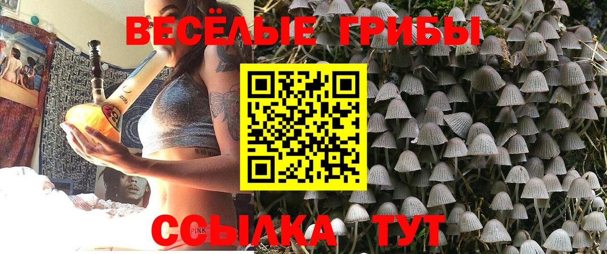 Псилоцибиновые грибы Magic Shrooms Сухой Лог