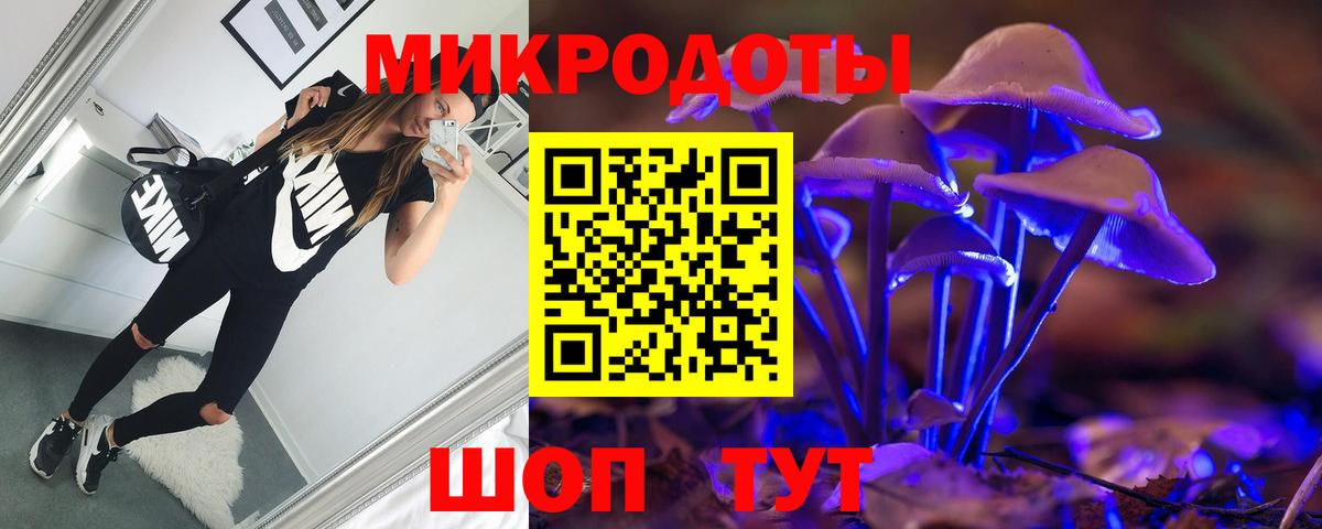 Галлюциногенные грибы GOLDEN TEACHER  Вход с VPN  Сухой Лог  Псилоцибиновые грибы Psilocybine cubensis 